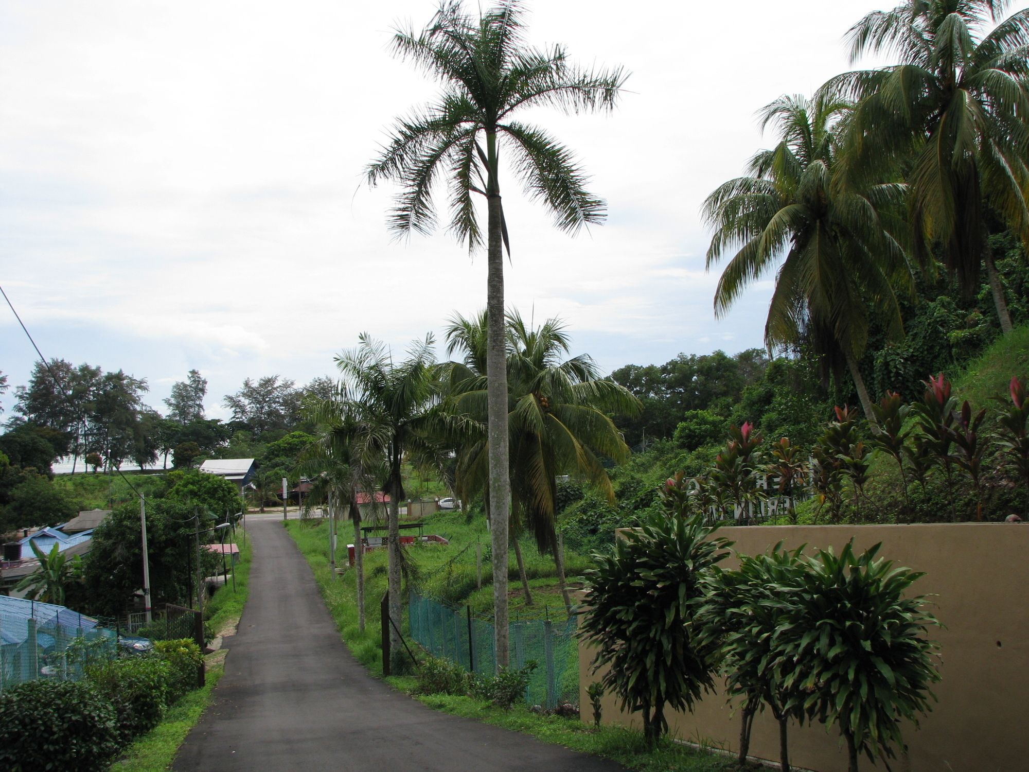 Mersing Merlin Inn Bagian luar foto